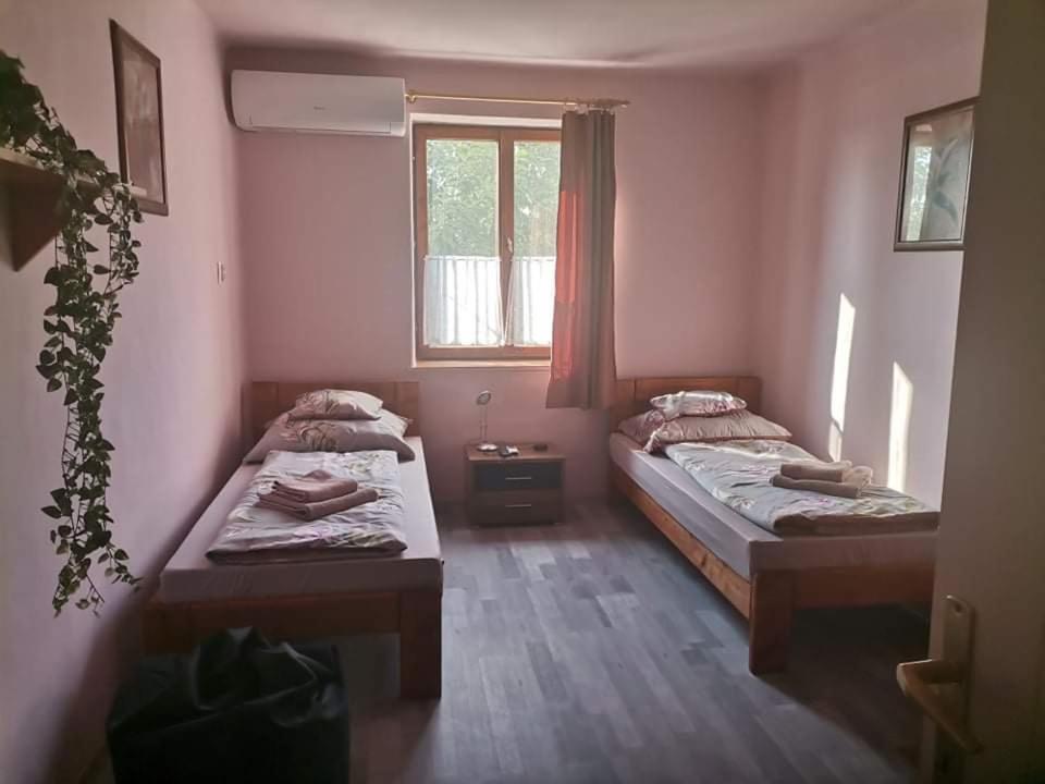 Ferienwohnung Pazsit-To Vendeghaz Békésszentandrás Exterior foto